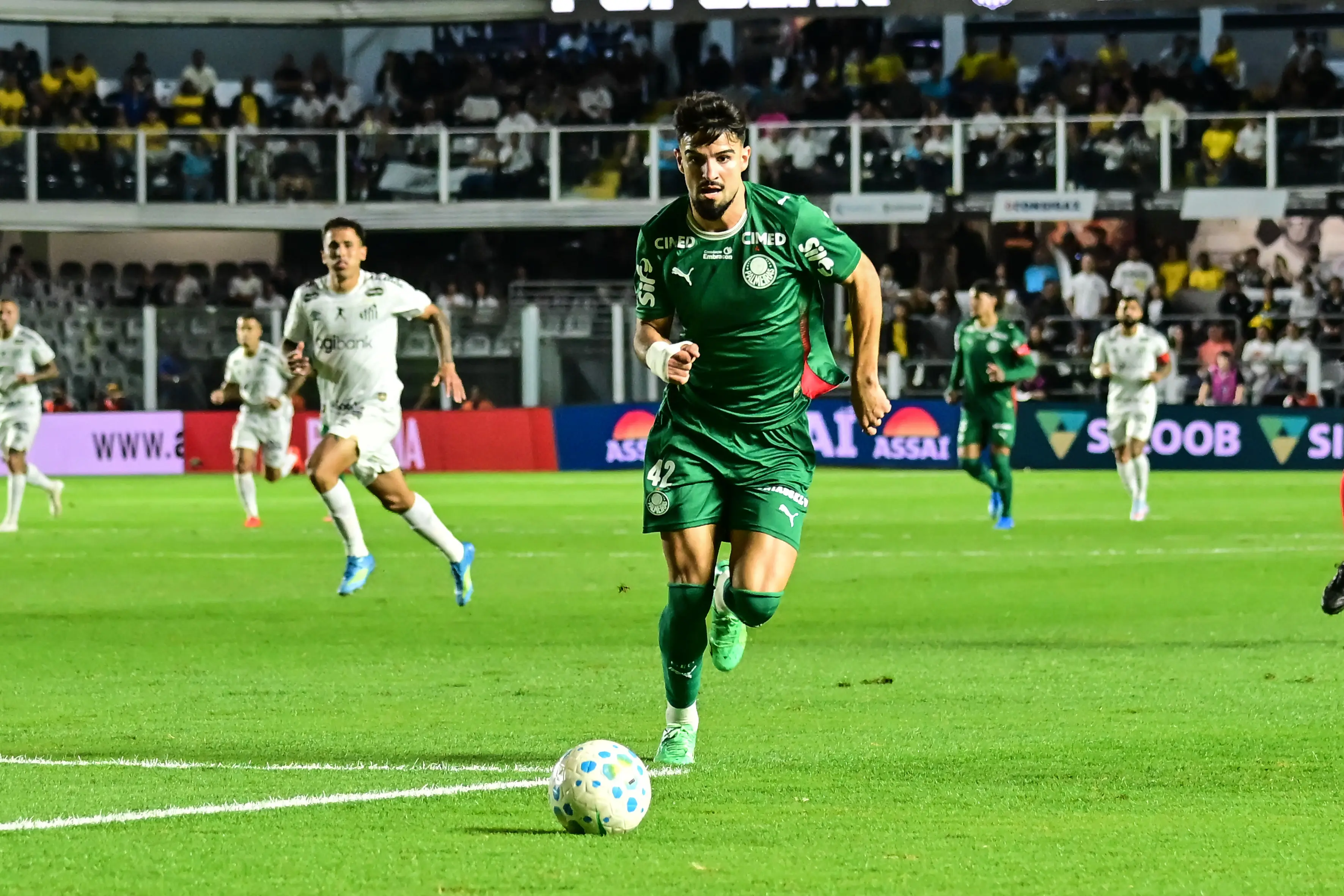 Santos x Palmeiras: veja fotos do clássico pela 33ª rodada do Brasileirão