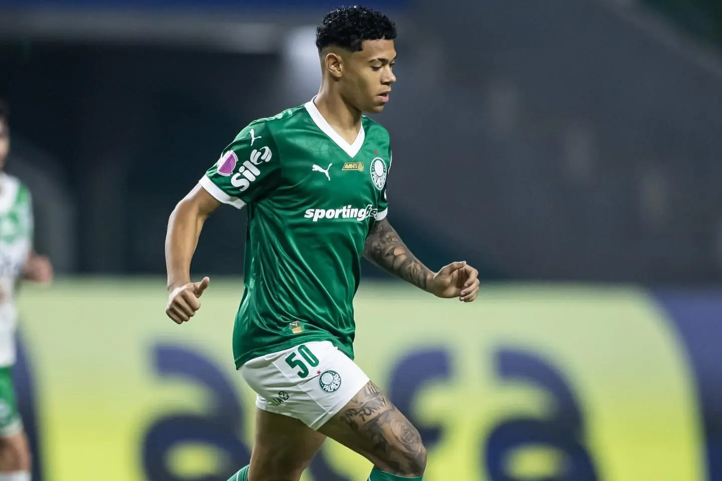 Luis Pacheco completa um ano como profissional e busca espaço no Palmeiras