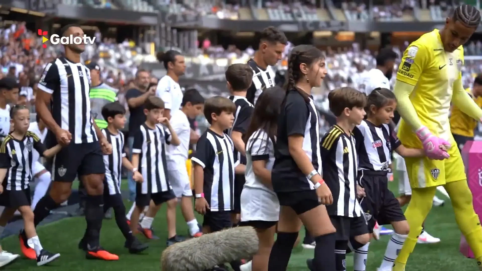 Bastidores da vitória do Atlético-MG contra o Santos na Arena MRV