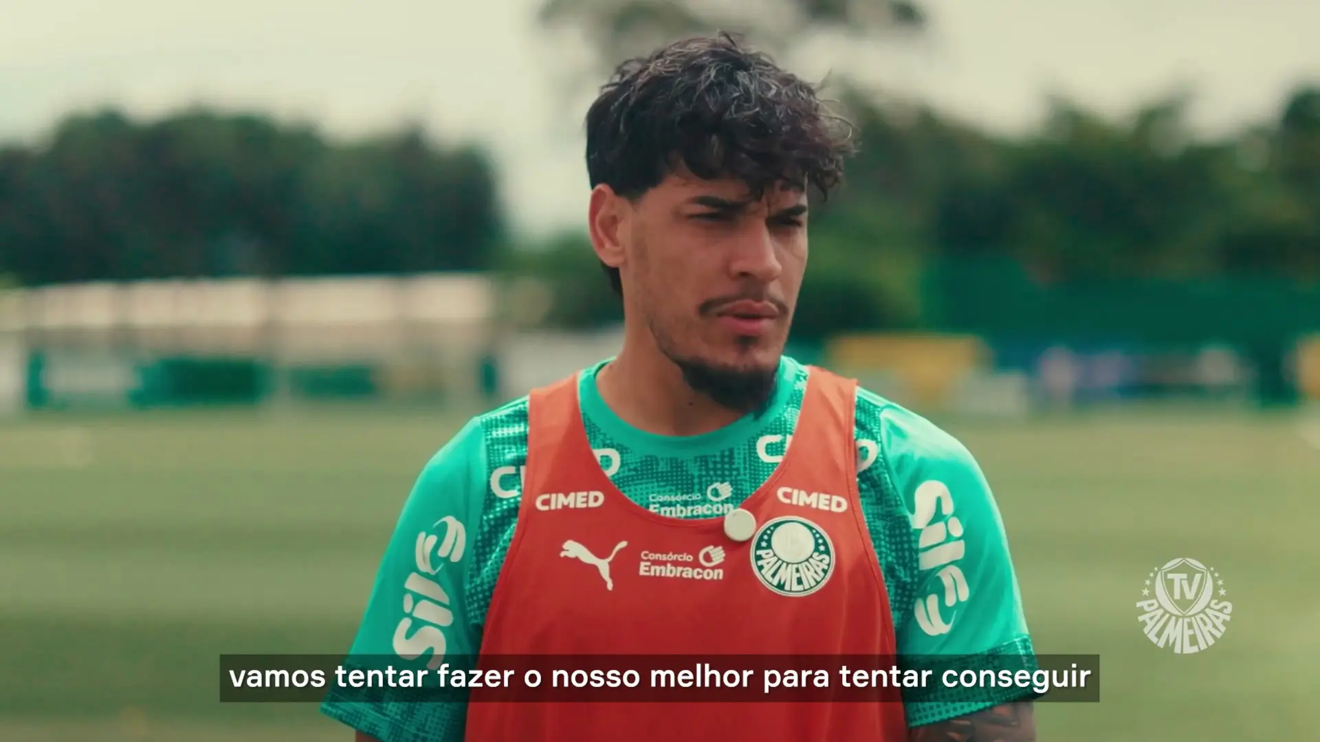 Palmeiras chega ao Rio e Gómez projeta mais uma semi de Libertadores; confira