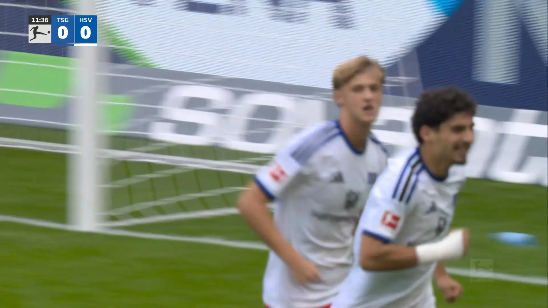 Melhores momentos: Hoffenheim 2 x 3 Hamburg pelo Alemão