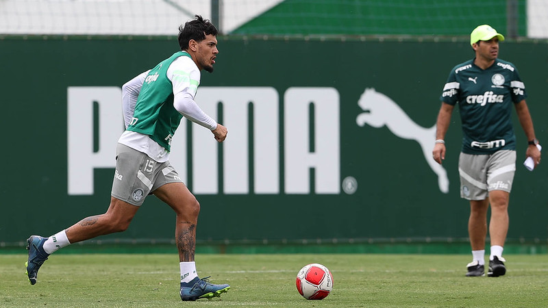Novorizontino x Palmeiras: veja informações e prováveis escalações do ...