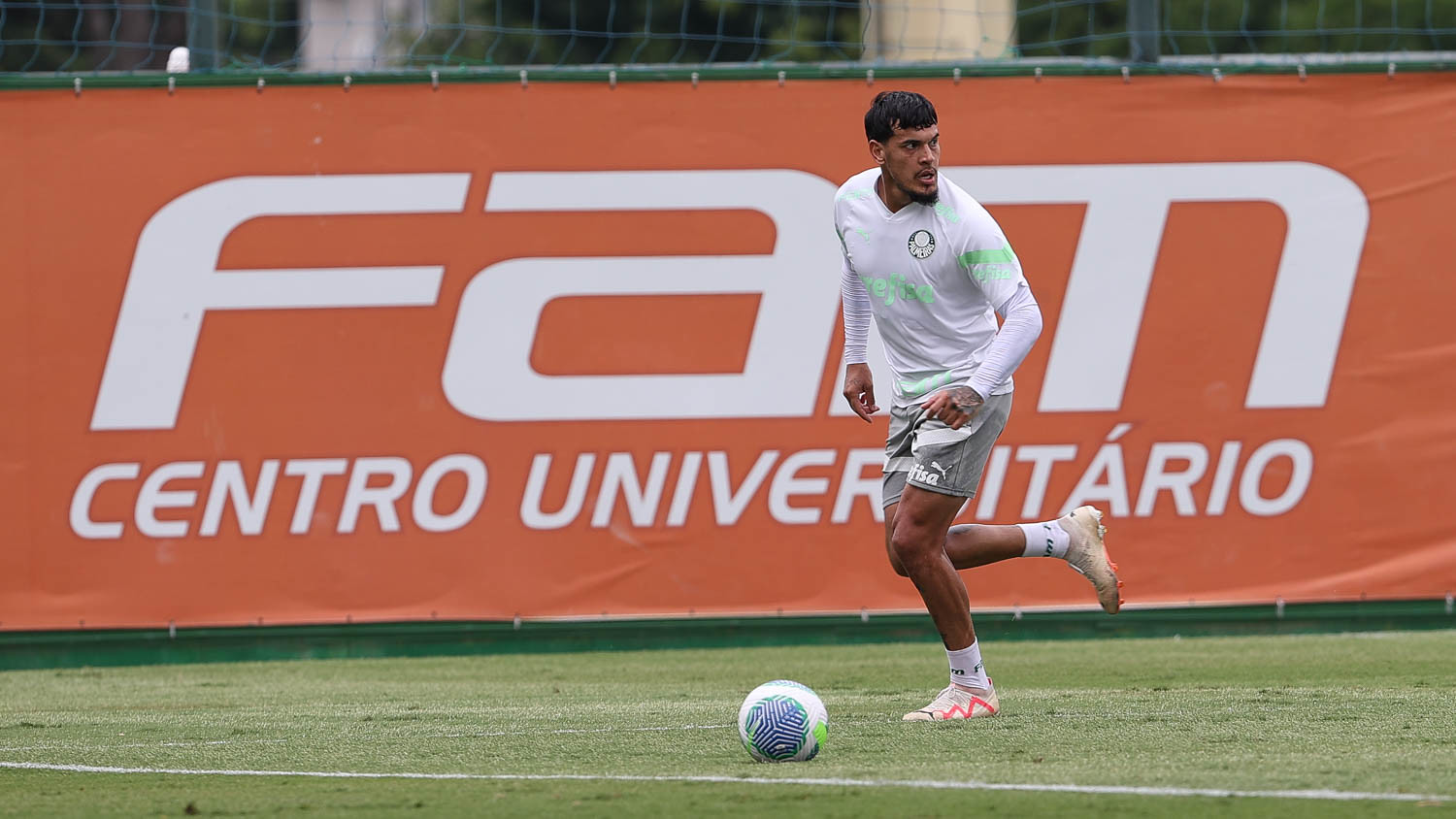 Gustavo Gómez elogia São Paulo, mas Palmeiras está preparado para o desafio