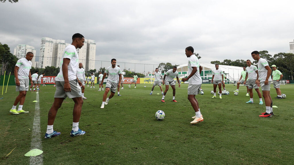 (Foto: Cesar Greco/Palmeiras)