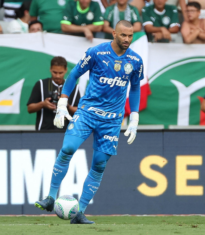 Weverton (Foto: Cesar Greco/Palmeiras)