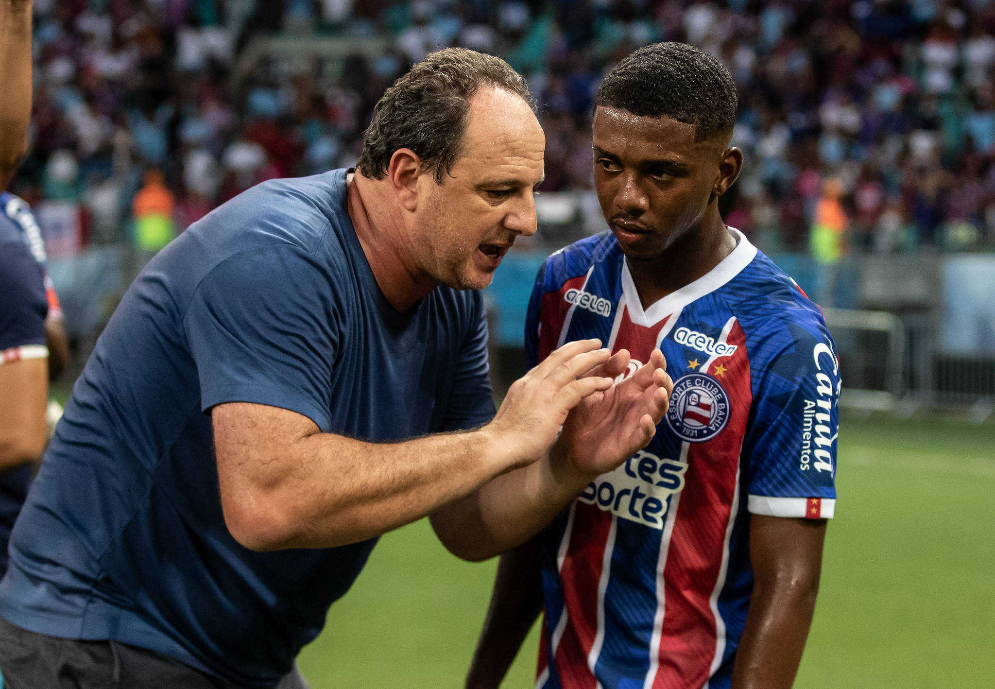 Rogério Ceni vê melhora no elenco do Bahia para 2024 "Superior ao ano