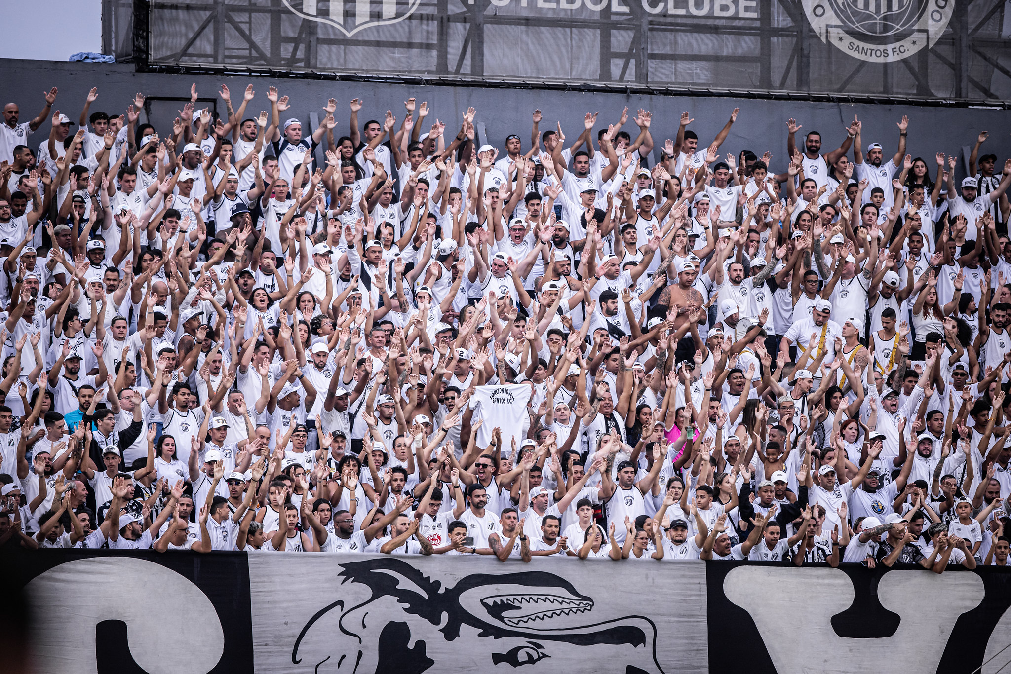 Imagem ilustrativa para a matéria