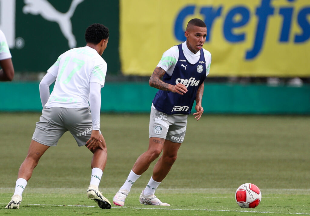 (Foto: Fabio Menotti/Palmeiras/by Canon)