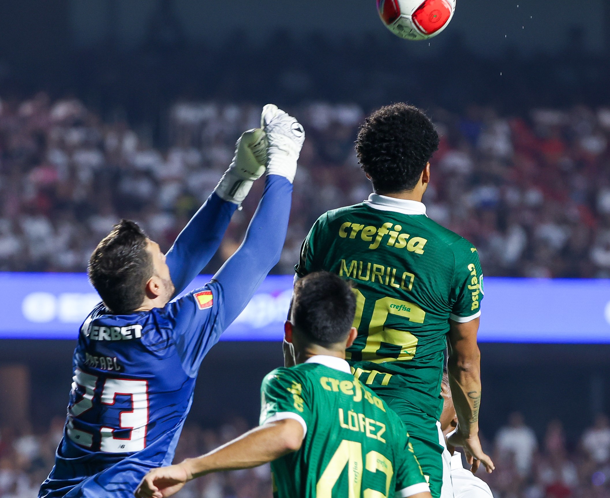 Imagem ilustrativa para a matéria