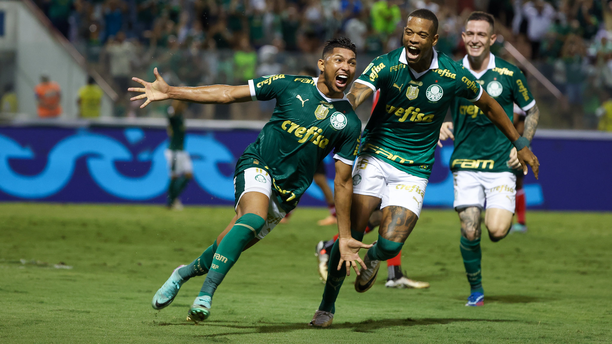 Palmeiras enfrentará Ponte Preta nas quartas de final do Paulistão