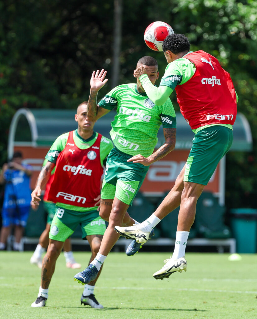 (Foto: Fabio Menotti/Palmeiras/by Canon)