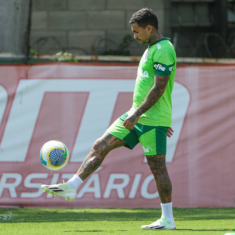 Lesionados: Qual jogador é mais importante para o Palmeiras? Vote!