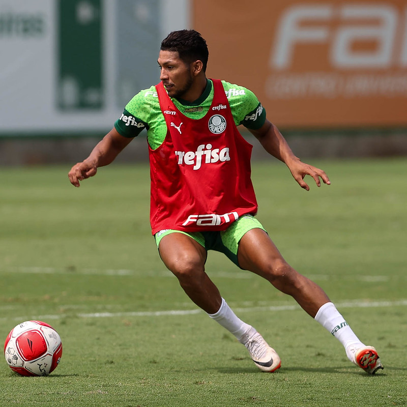 (Foto: Cesar Greco/Palmeiras)