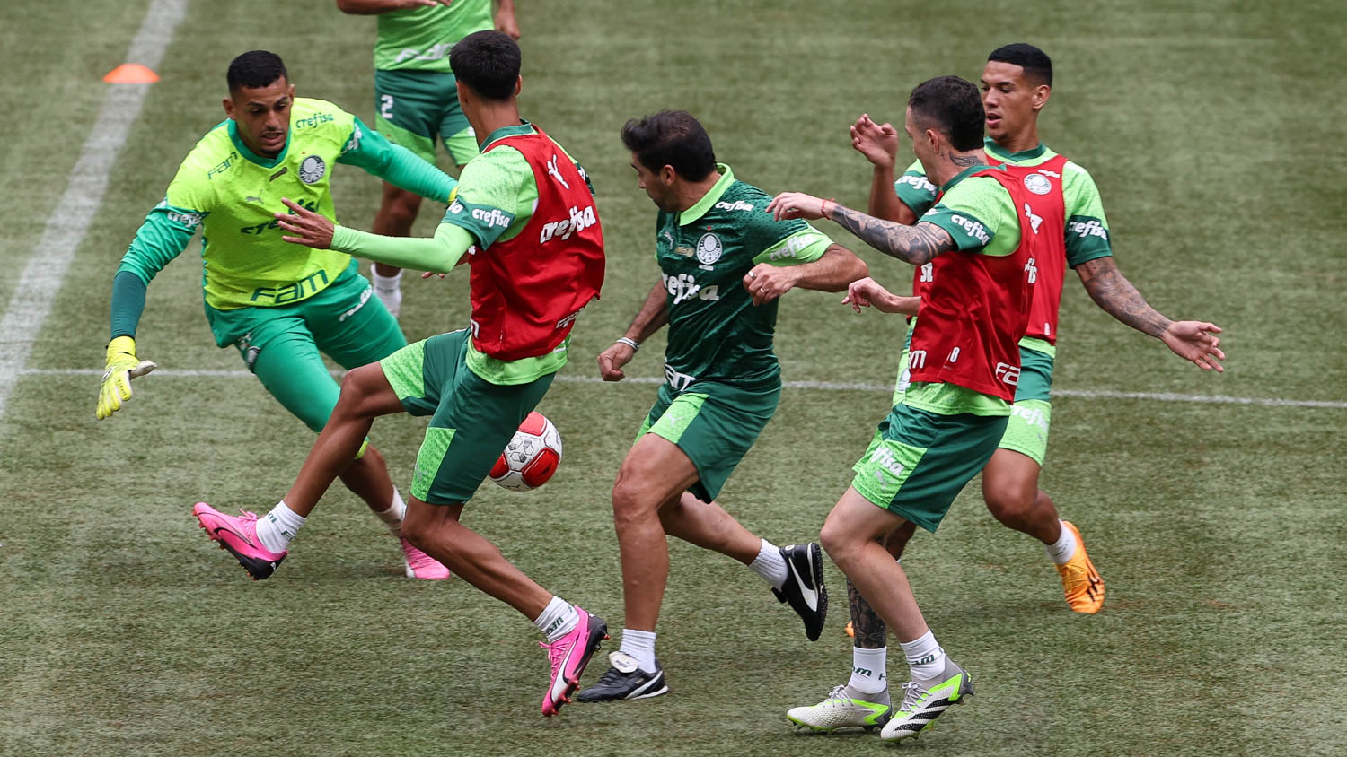 Treino no Novo Gramado do Allianz Antes de Decisão no Palmeiras.