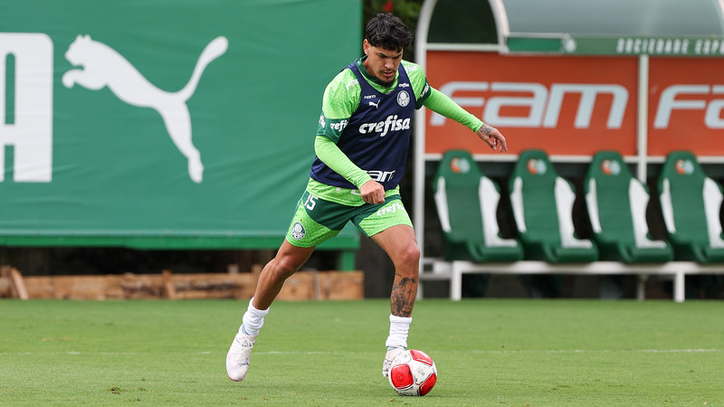 À disposição do Palmeiras, Gómez destaca momento difícil após lesão e valoriza DM: "Foi importante"