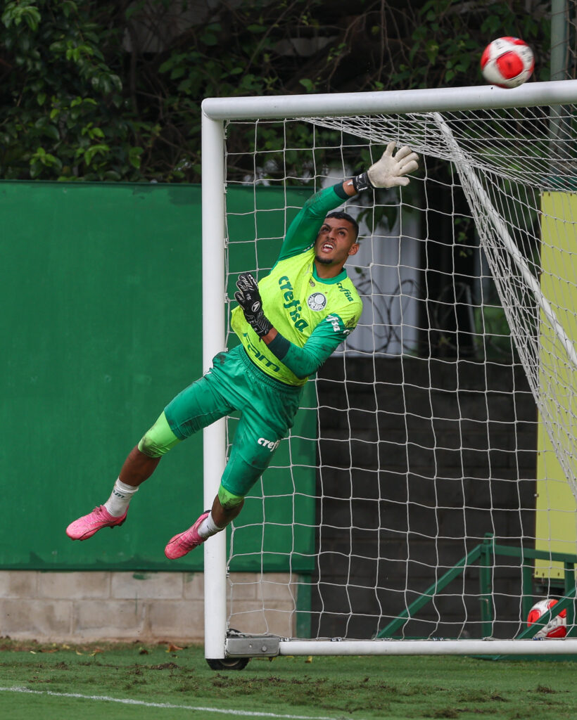 Foto: Fabio Menotti/Palmeiras/by Canon