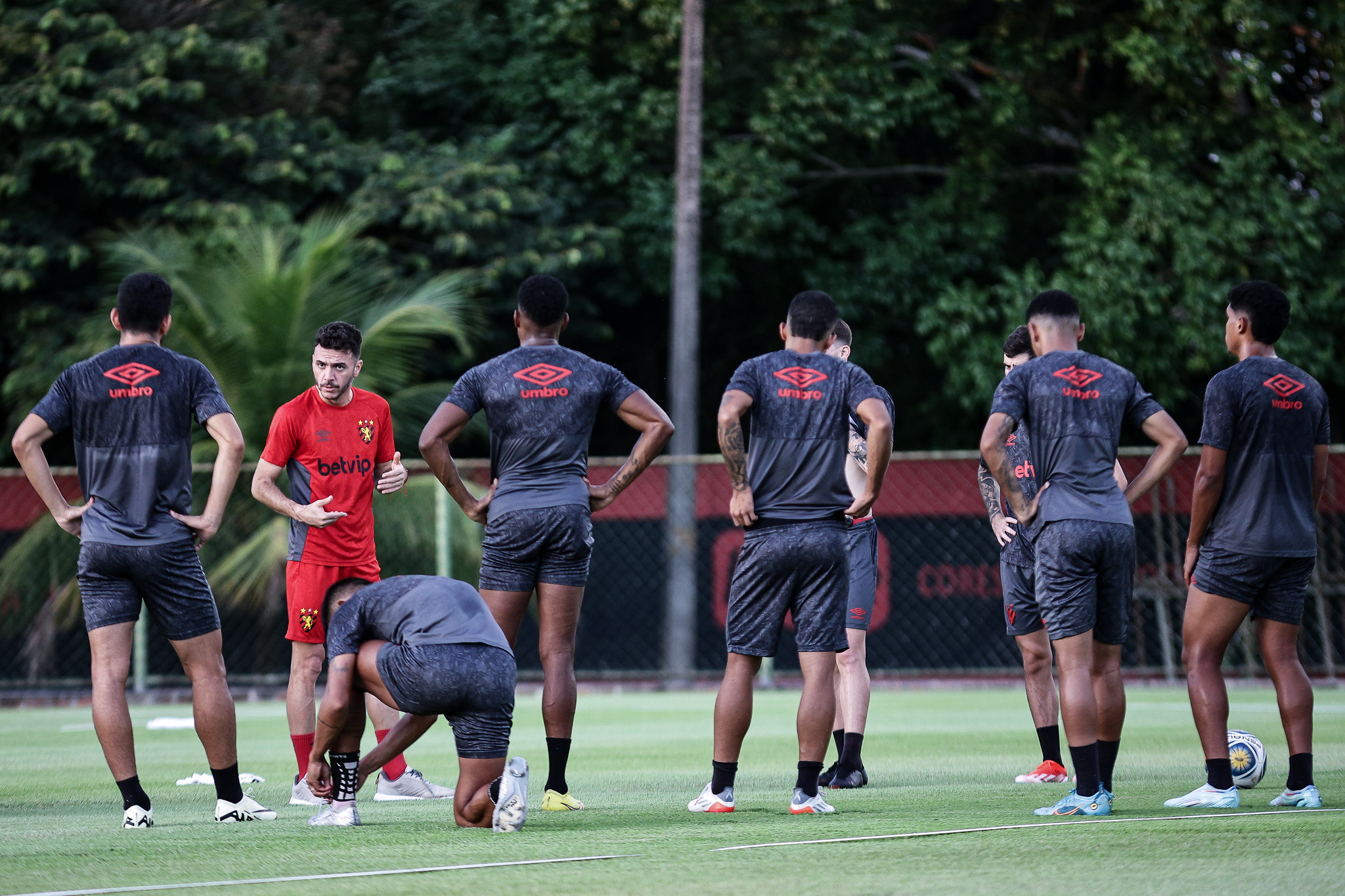 Sport x Ceará: veja prováveis escalações e onde assistir