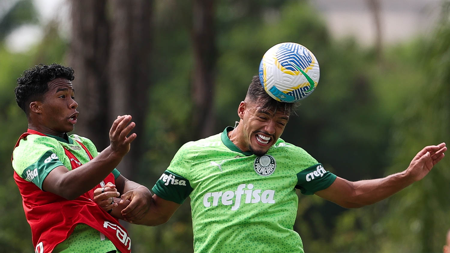 Reapresentação do Palmeiras: Imagens da volta aos treinos nesta sexta-feira.