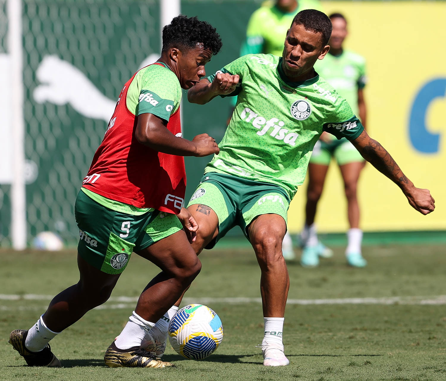 Palmeiras encerra preparação para enfrentar o Flamengo pelo Brasileirão; veja provável time