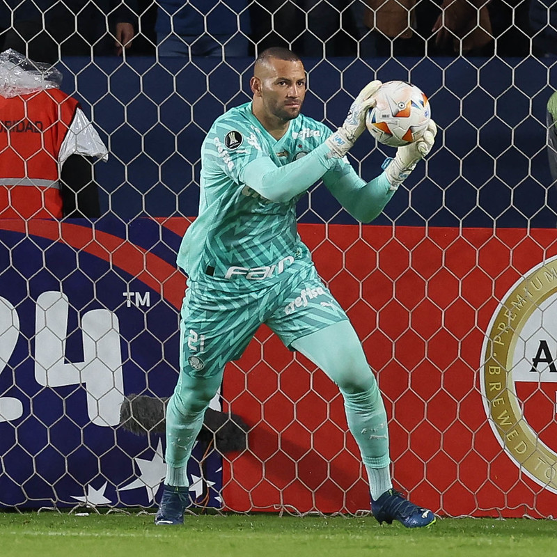 Weverton (Foto: Cesar Greco/Palmeiras)