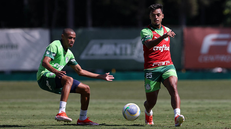 (Foto: Cesar Greco/Palmeiras)