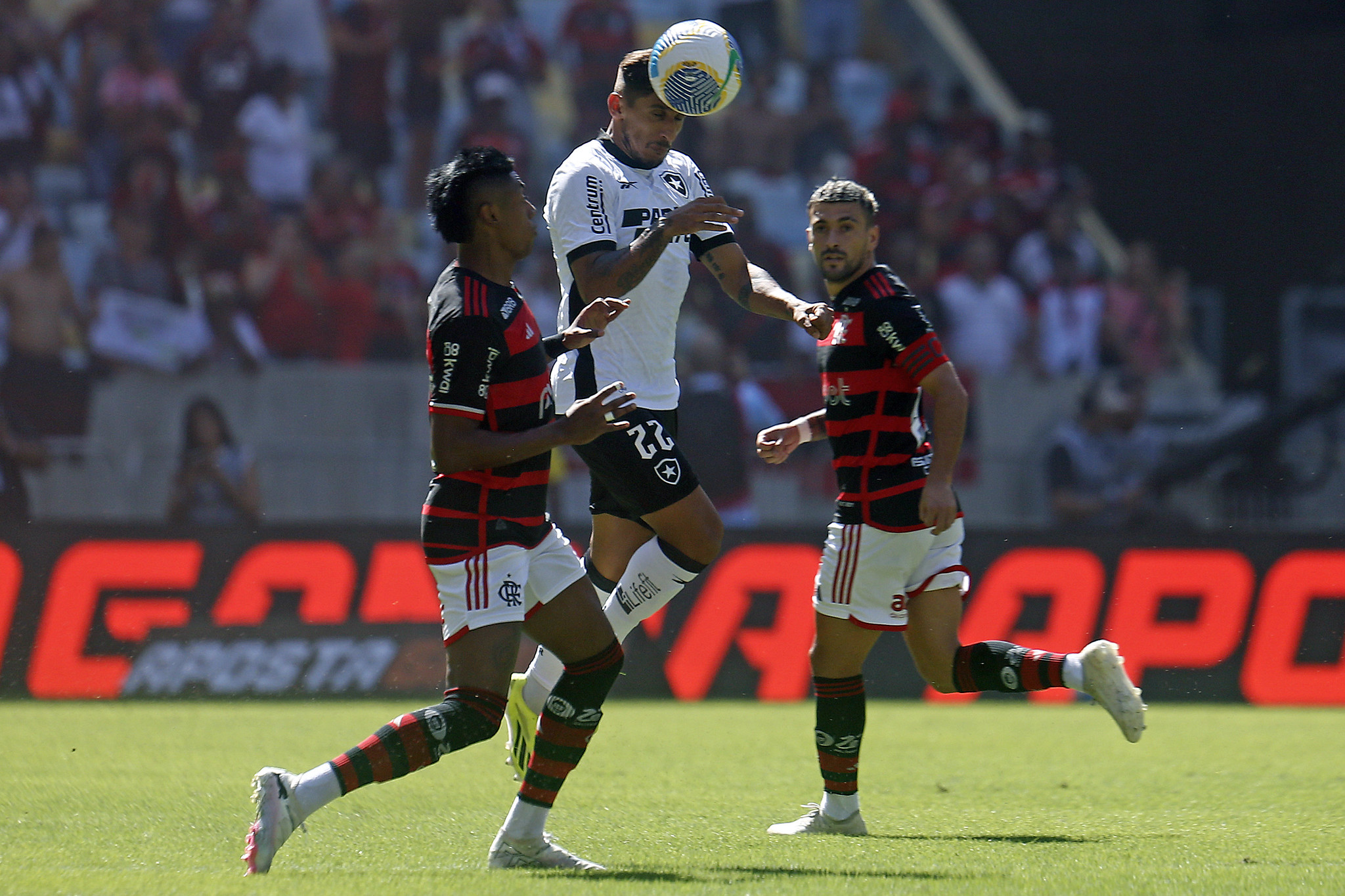 Melhores momentos de Flamengo 0 x 2 Botafogo na Série A: assista agora!