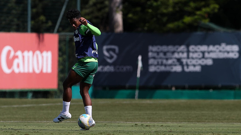 (Foto: Cesar Greco/Palmeiras)