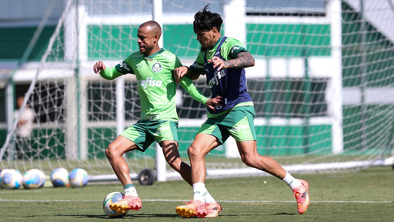 (Foto: Cesar Greco/Palmeiras)