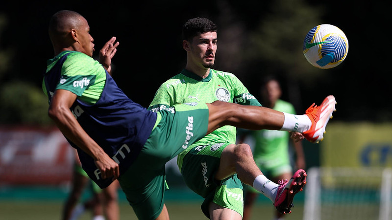 (Foto: Cesar Greco/Palmeiras)