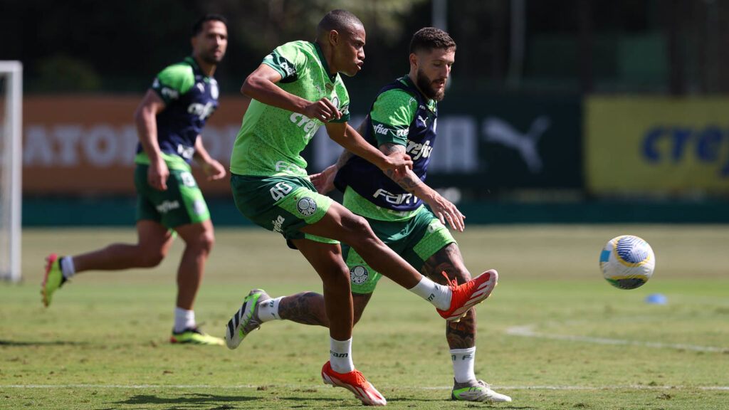 Foto: Cesar Greco/Palmeiras/by Canon