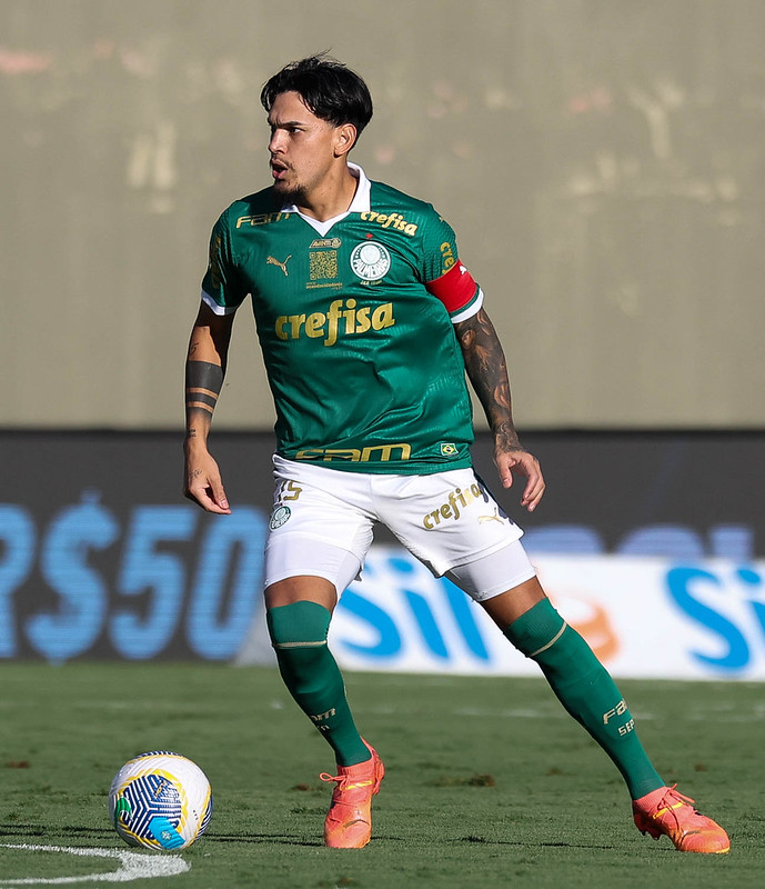 Gustavo Gómez - o zagueiro fazia bom jogo pela equipe e em uma infelicidade acabou marcando contra e ampliou o placar para o Athletico-PR