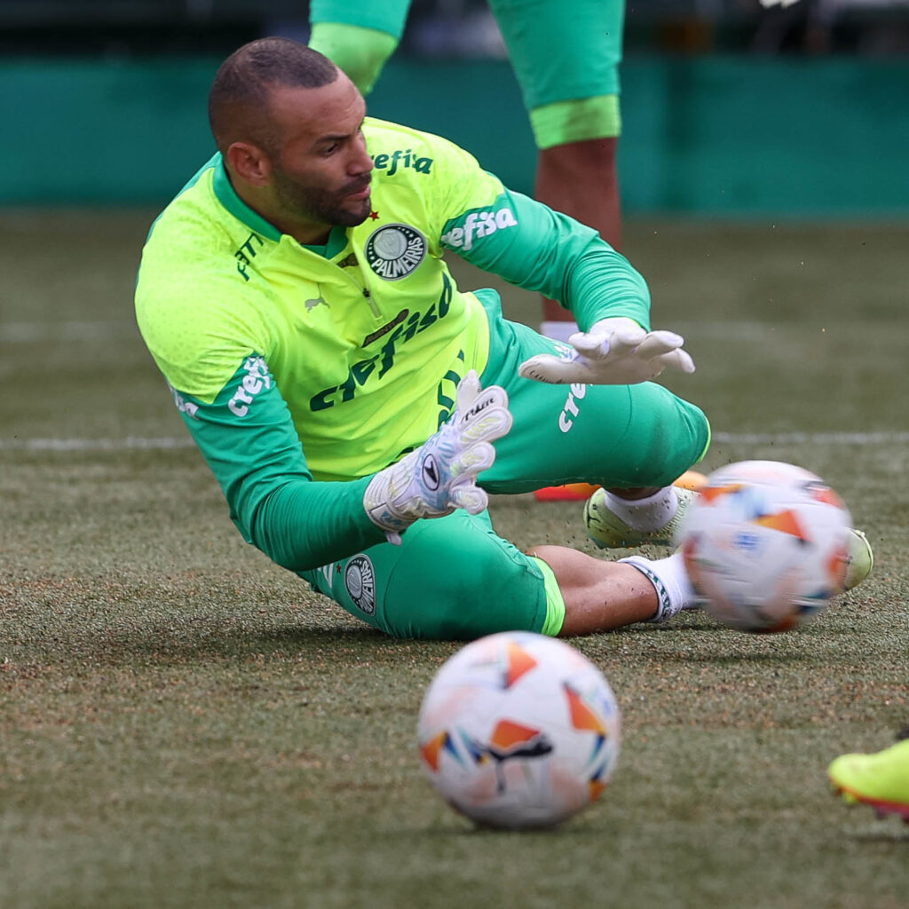 (Foto: Cesar Greco/Palmeiras/by Canon)