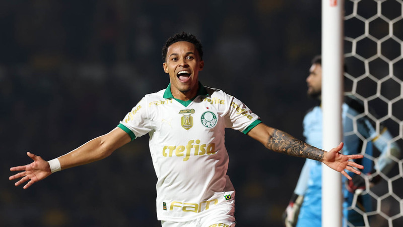 Palmeiras enfrenta jogo no Allianz Parque pelo Brasileirão após data Fifa
