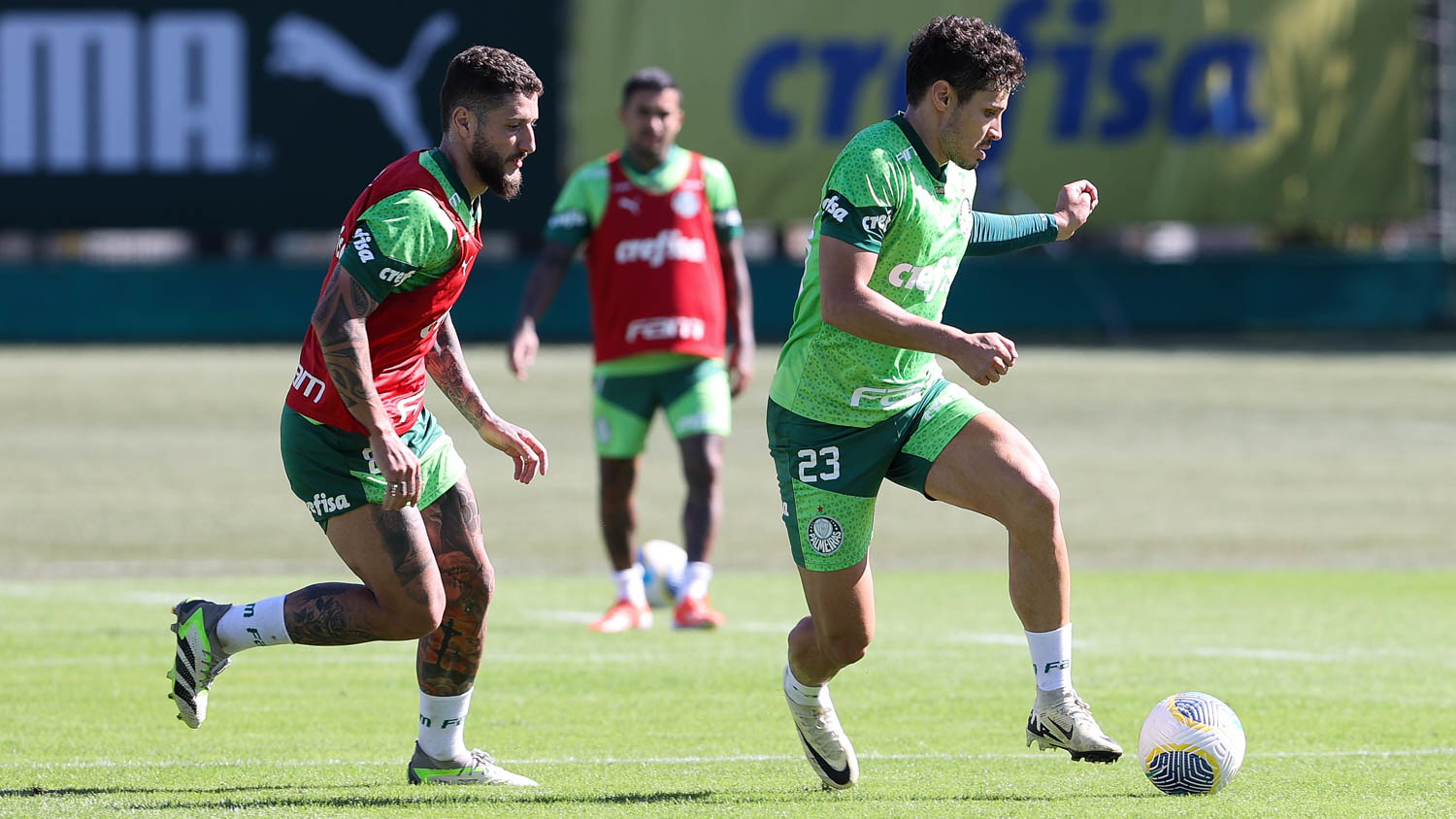 Reapresentação do Palmeiras: fotos da volta aos treinos no início da semana.