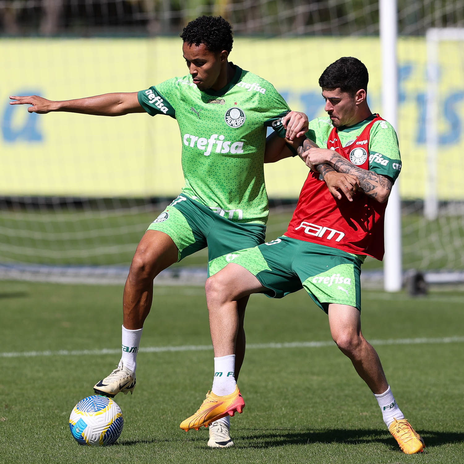 último treino do Palmeiras antes de enfrentar o Vasco no Brasileirão: imagens exclusivas!
