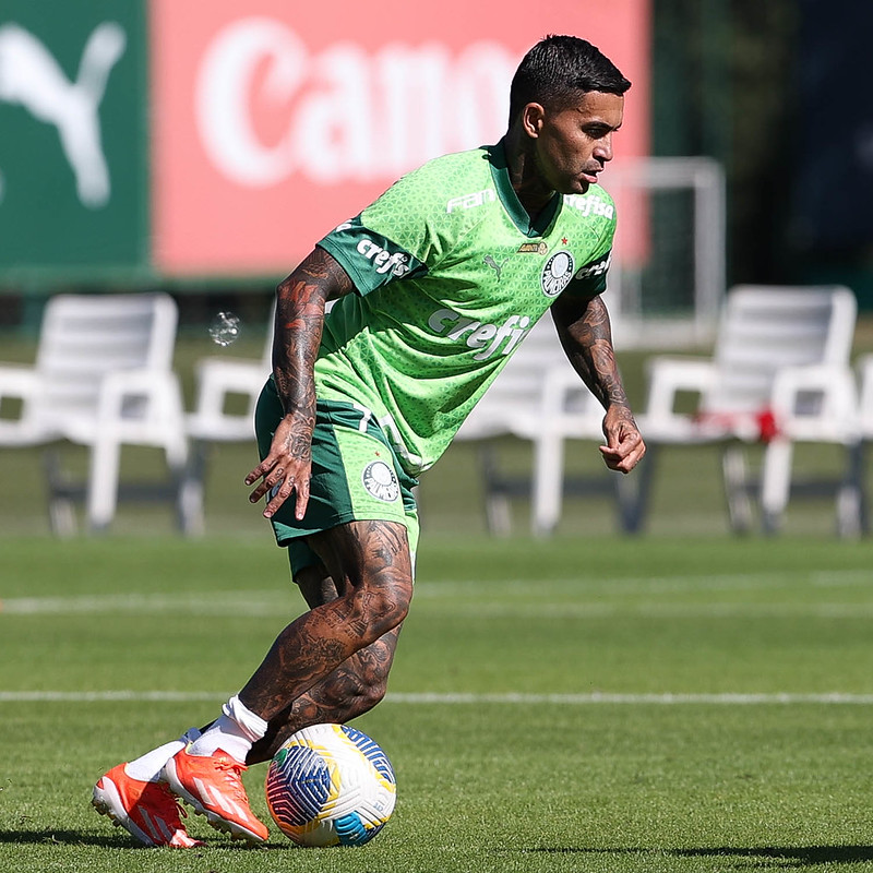 ídolos do Palmeiras apoiam Dudu em anúncio de permanência; repercussão positiva no clube