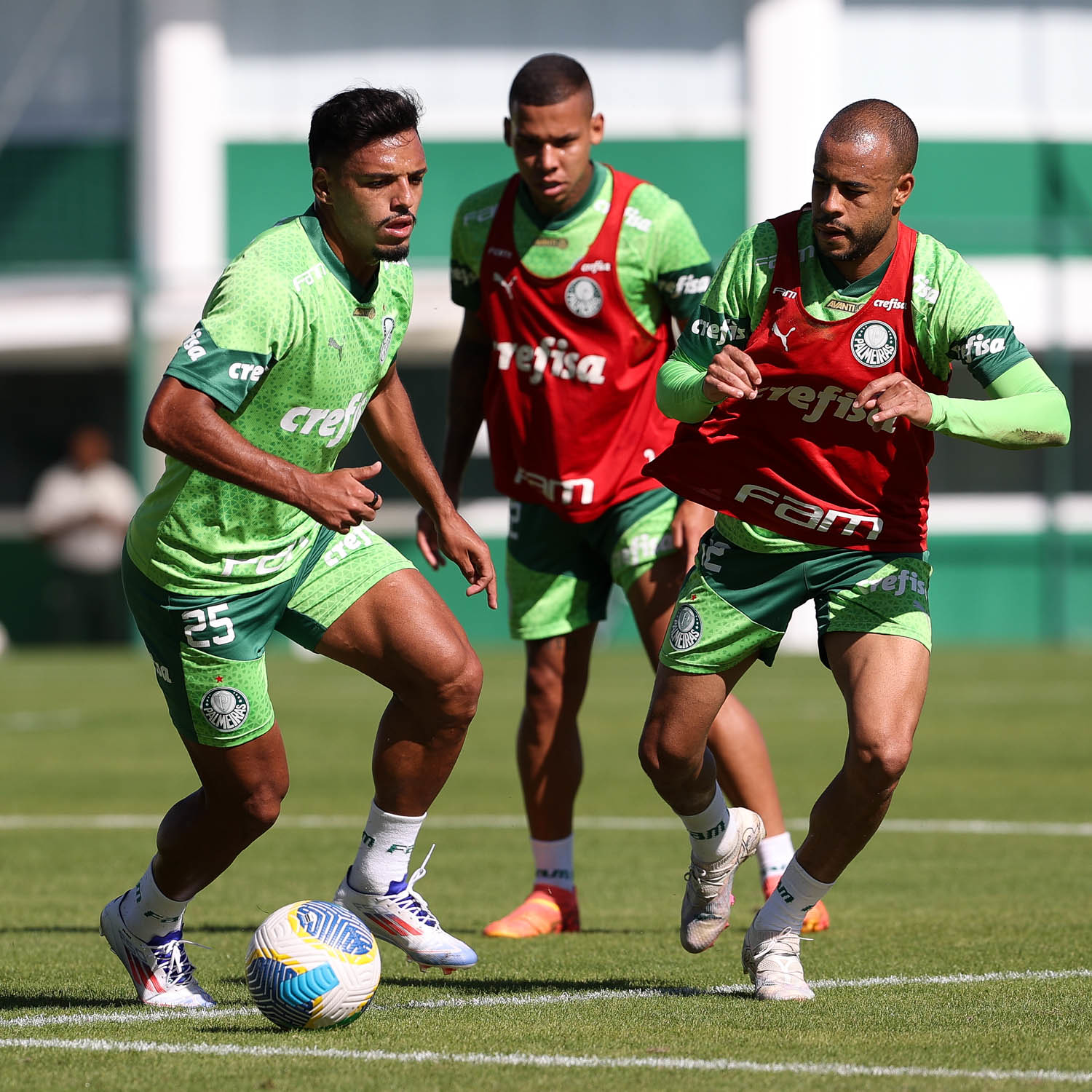 Treino do Palmeiras: Imagens do Preparo da Equipe para Próximo Desafio.