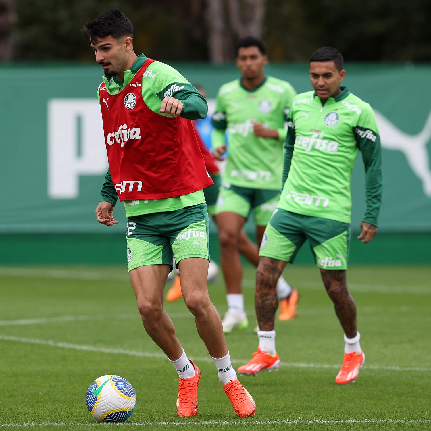 Palmeiras Finaliza Preparação e Define Escalação para Enfrentar o Fortaleza