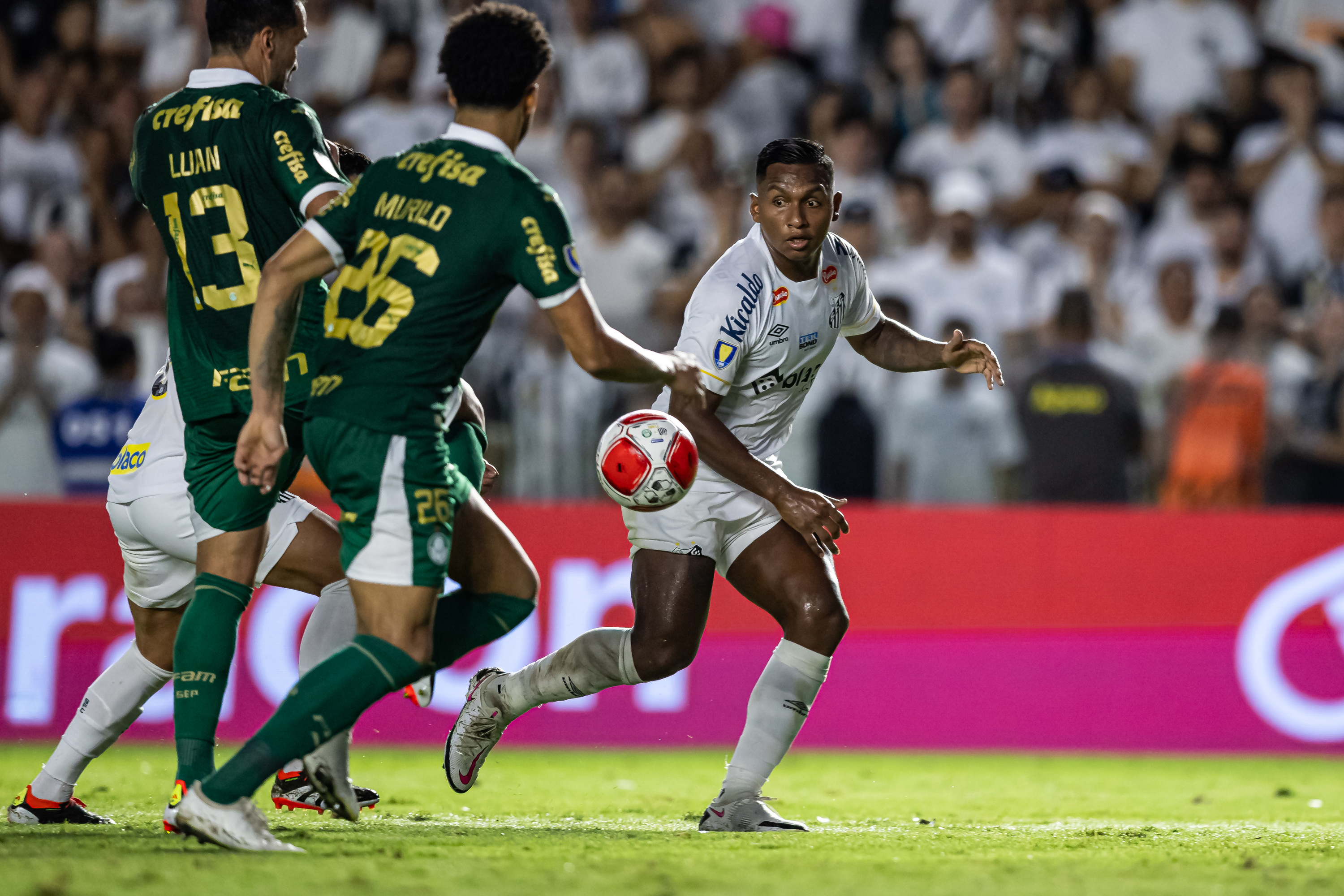 Palmeiras conta com força da torcida para reverter placar no Paulista.
