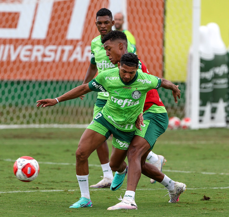 Palmeiras inicia preparação para enfrentar Santos na final do Paulistão