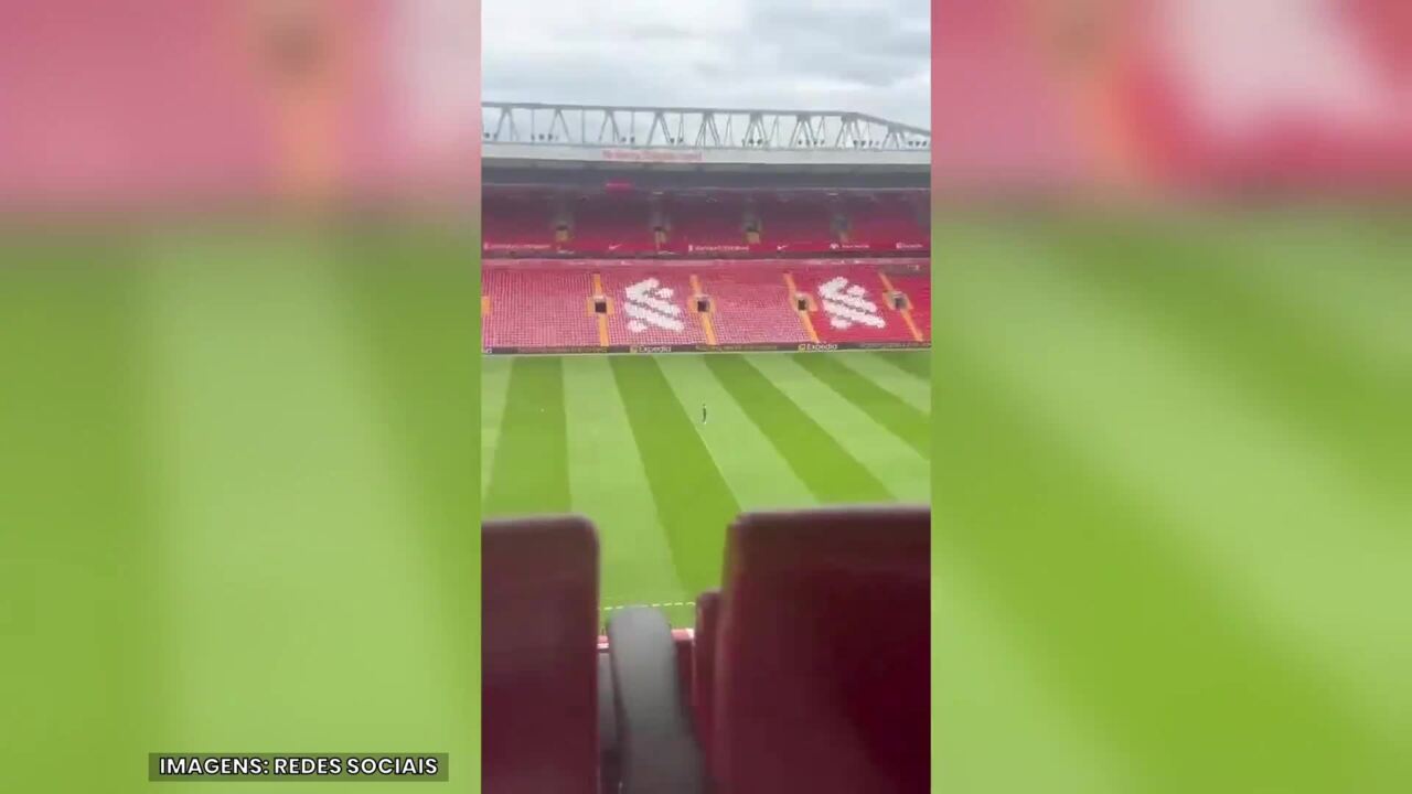 Imagem ilustrativa para a matéria
