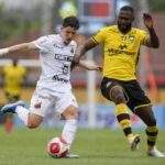 Palmeiras publica vídeo e indica lançamento de camisa para temporada de 2024: 