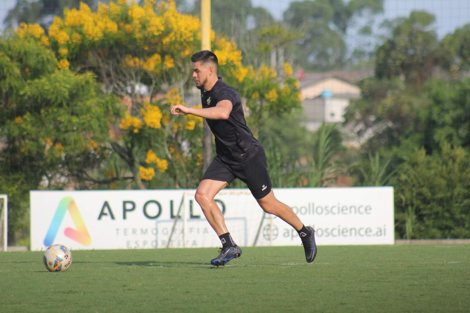 Imagem ilustrativa para a matéria