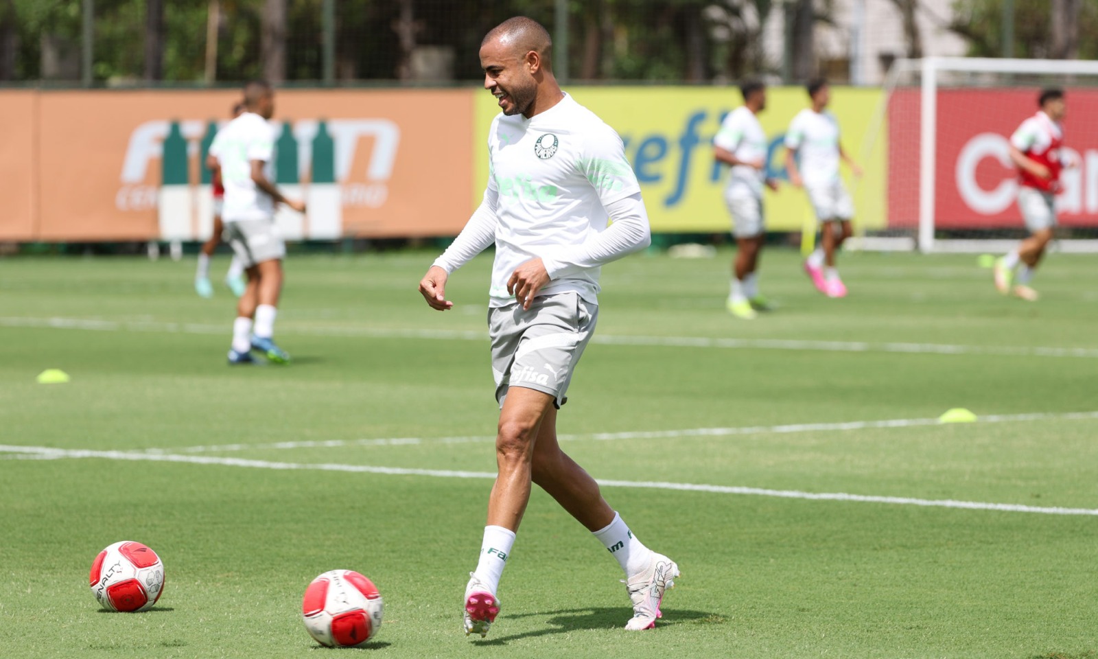 Mayke inicia transição física, reapresentação do Palmeiras após vitória.