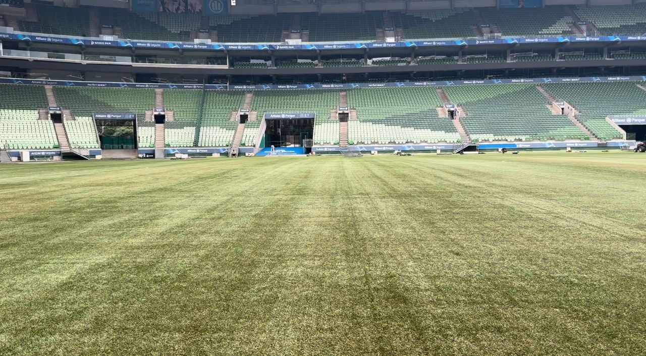 Problema no gramado do Allianz Parque surpreende fornecedora do material.