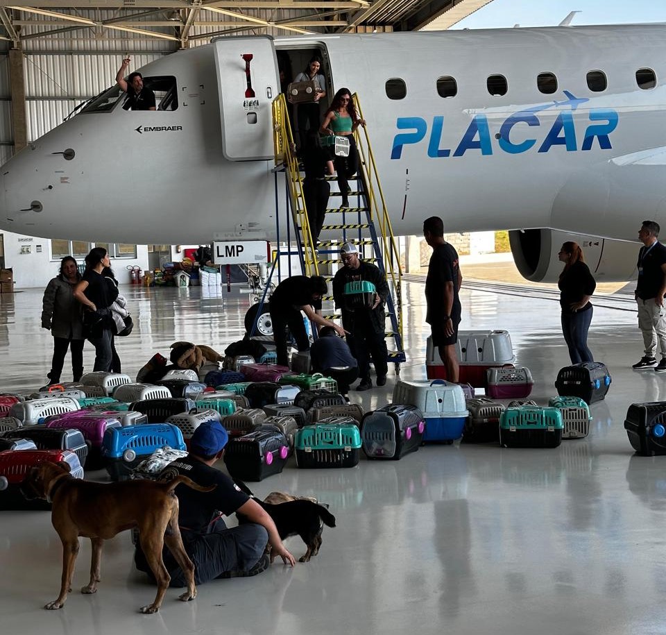 Avião de Leila Pereira transporta doações e resgata animais em viagem São Paulo - RS.