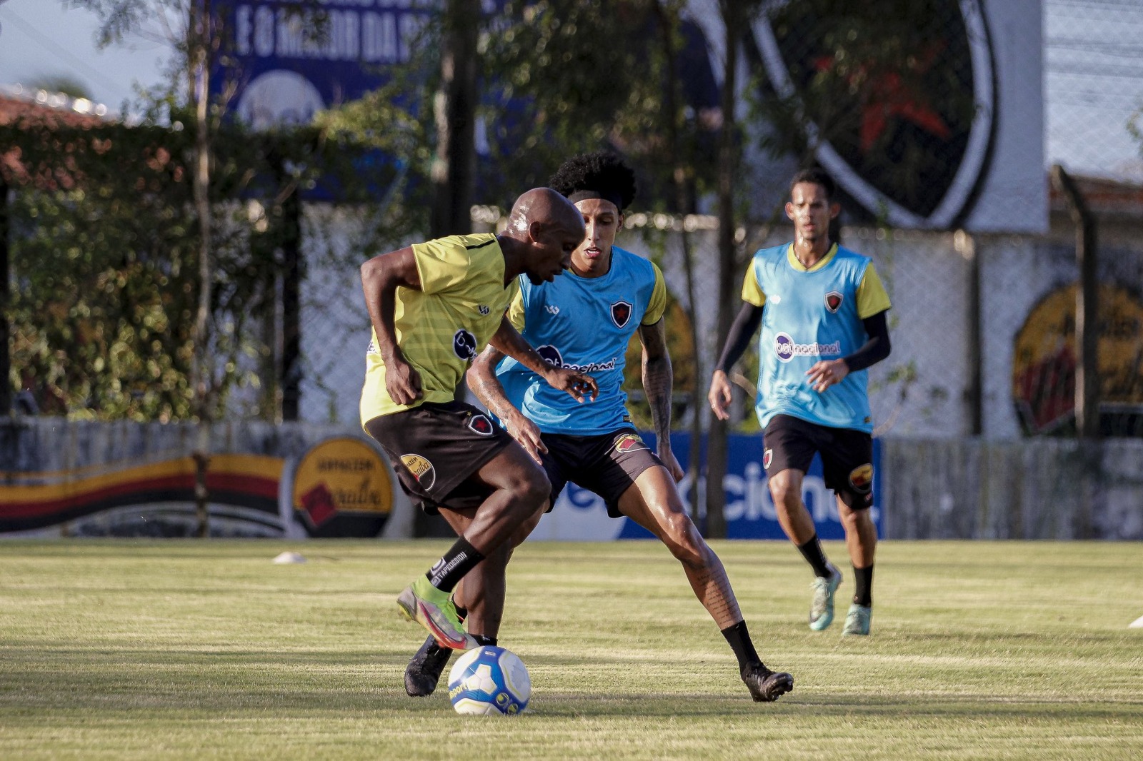 Imagem ilustrativa para a matéria