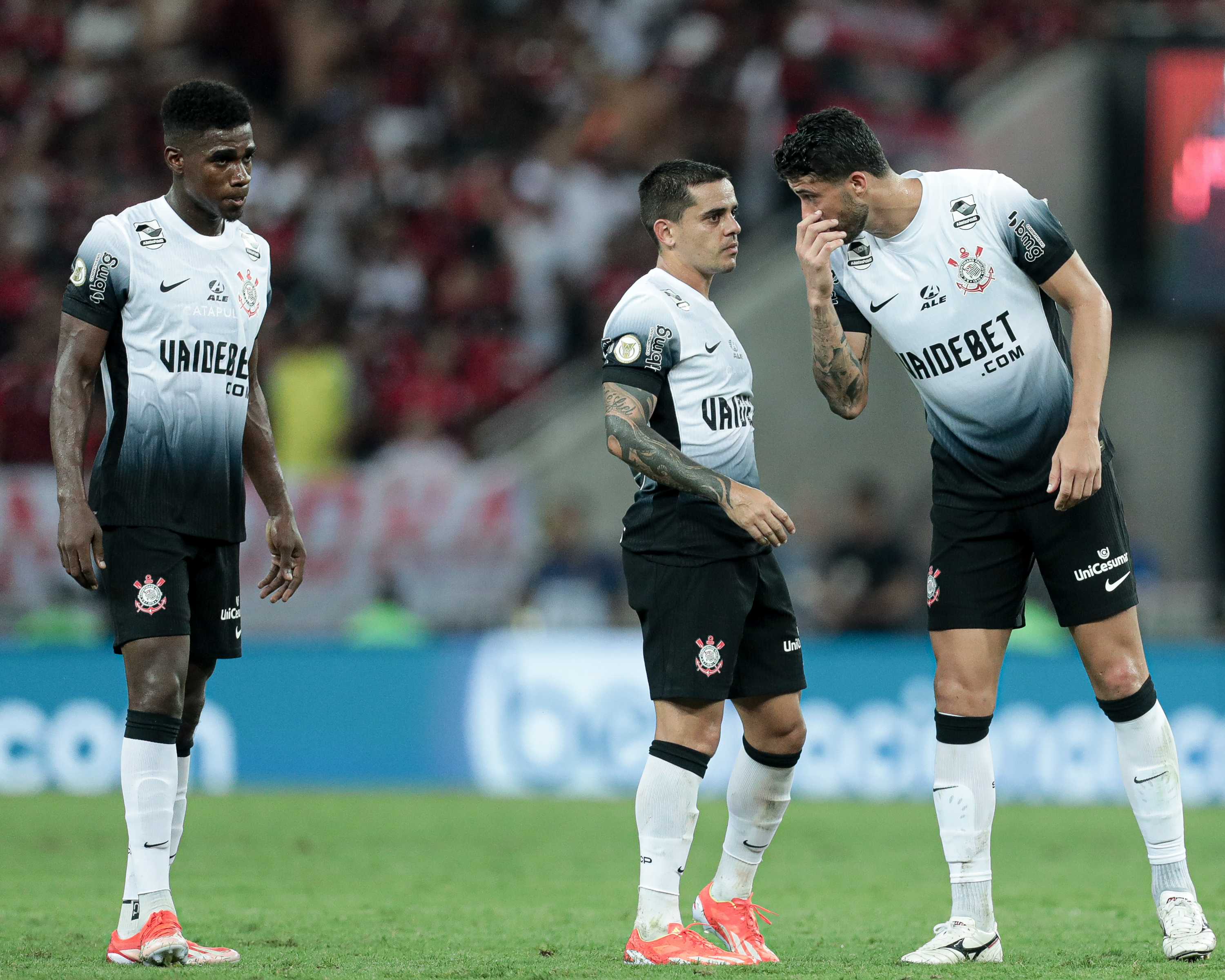 Imagem ilustrativa para a matéria