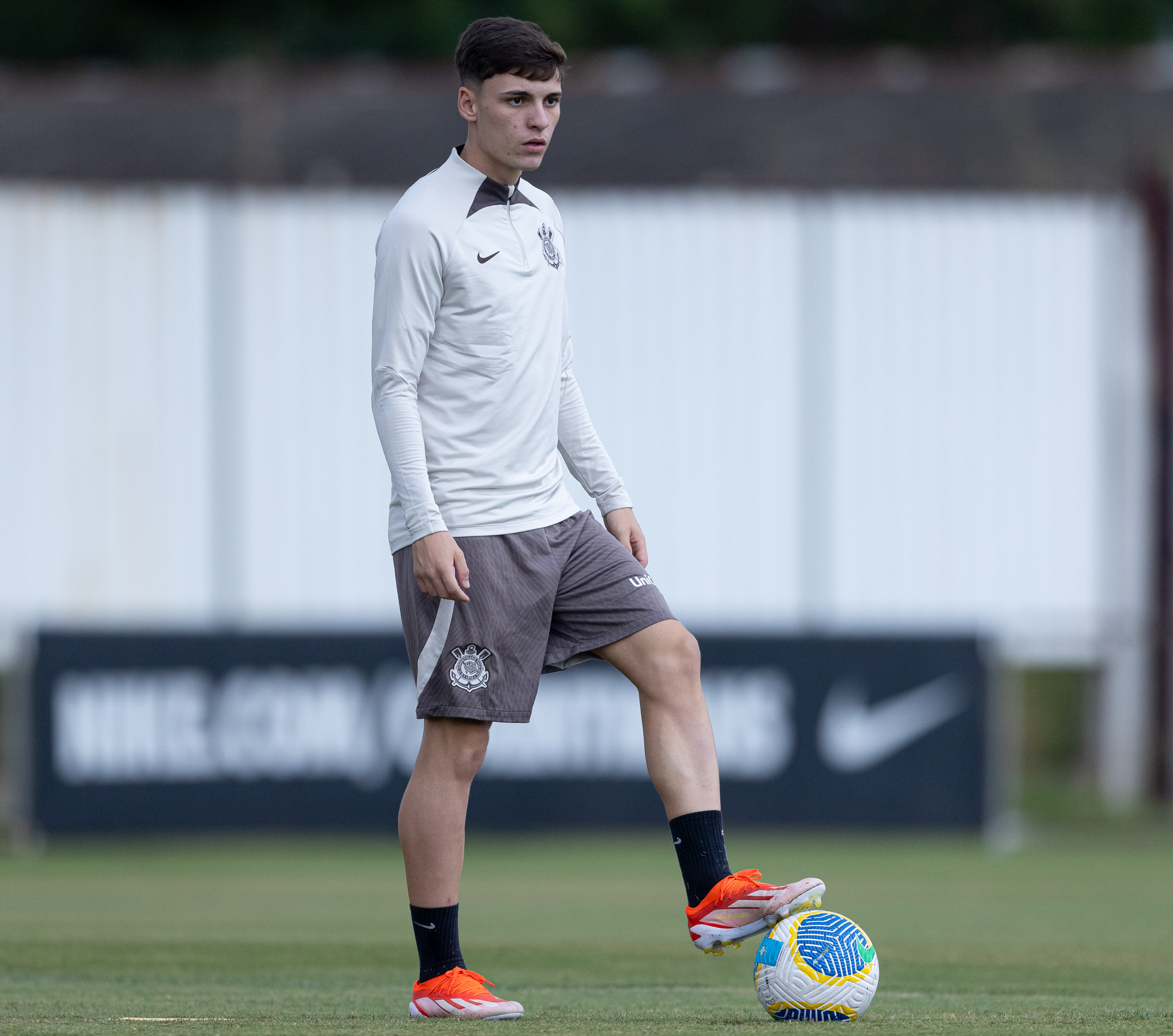 Imagem ilustrativa para a matéria