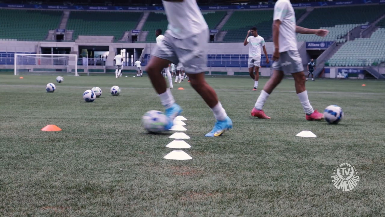 Palmeiras Testa Novo Gramado do Allianz Parque Após Reforma